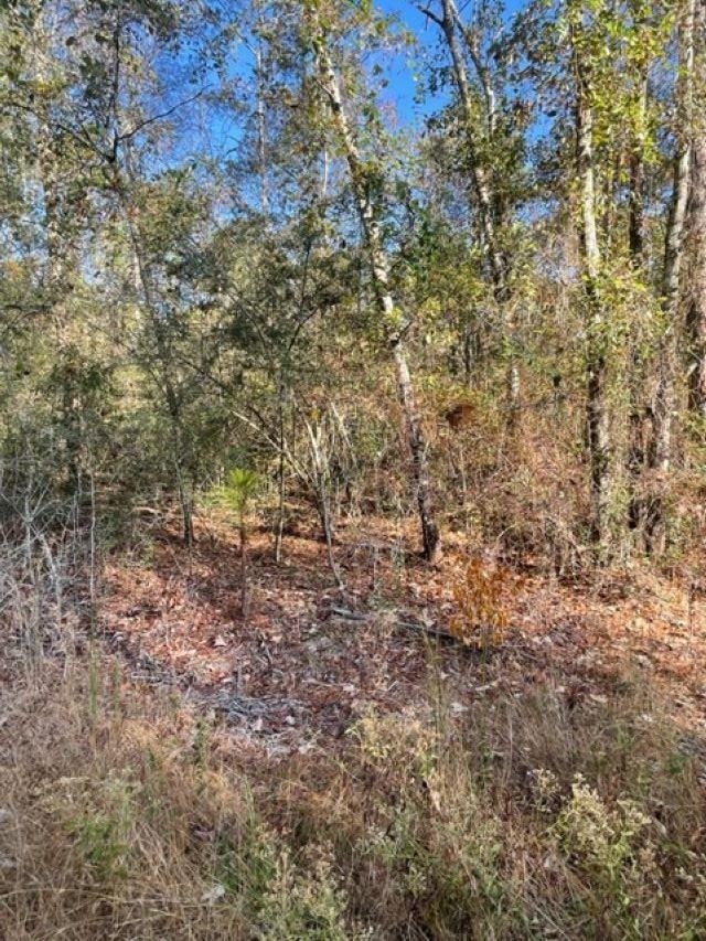 Walling Road Milton, FL 32570 - Photo 3 of 12 Gallery Image 3