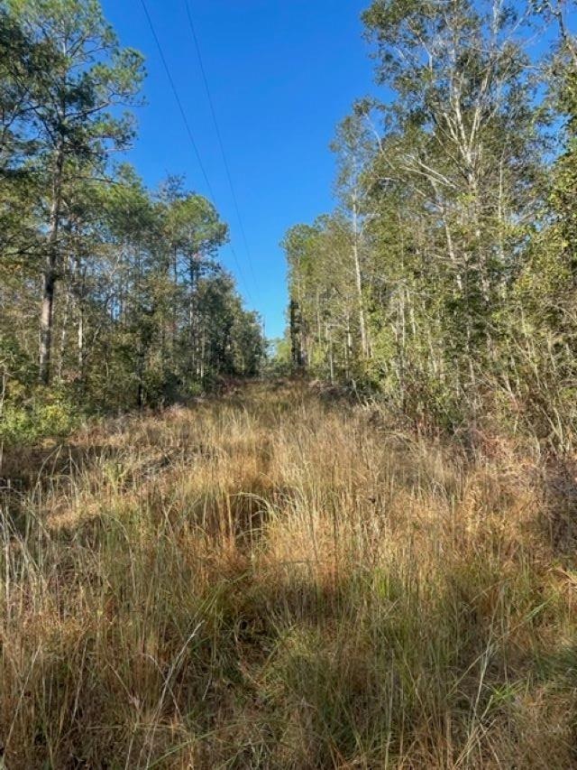 Walling Road Milton, FL 32570 - Photo 4 of 12 Gallery Image 4