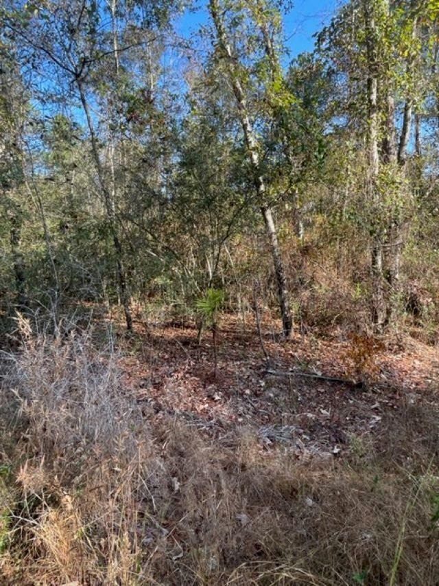 Walling Road Milton, FL 32570 - Photo 5 of 12 Gallery Image 5