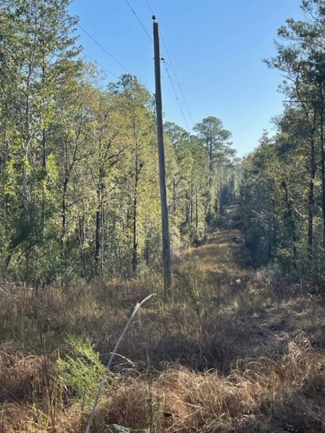 Walling Road Milton, FL 32570 - Photo 9 of 12 Gallery Image 9