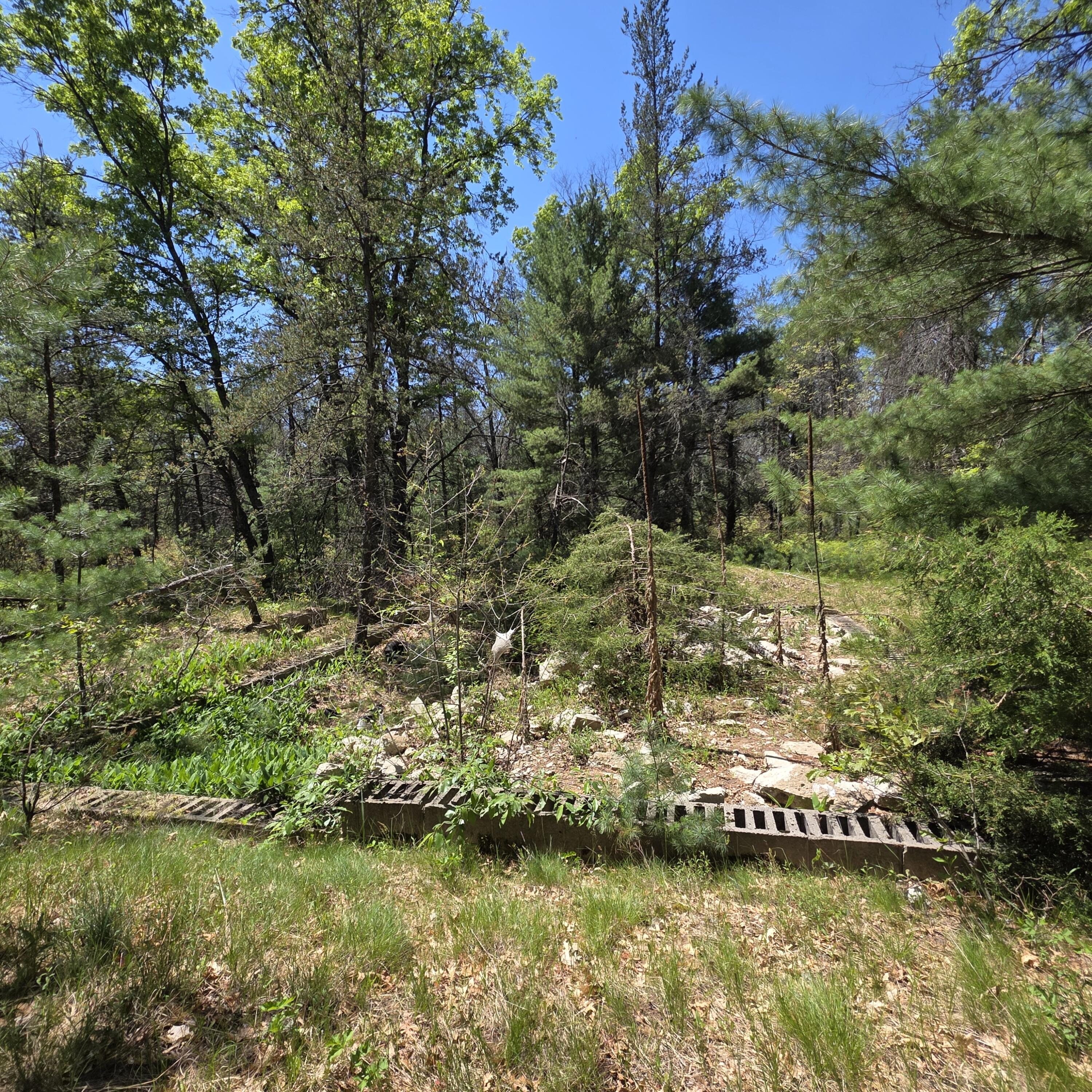 Wilma's Way, Unit PARCEL E Baldwin, MI 49304 - Photo 7 of 13 20260528_141541