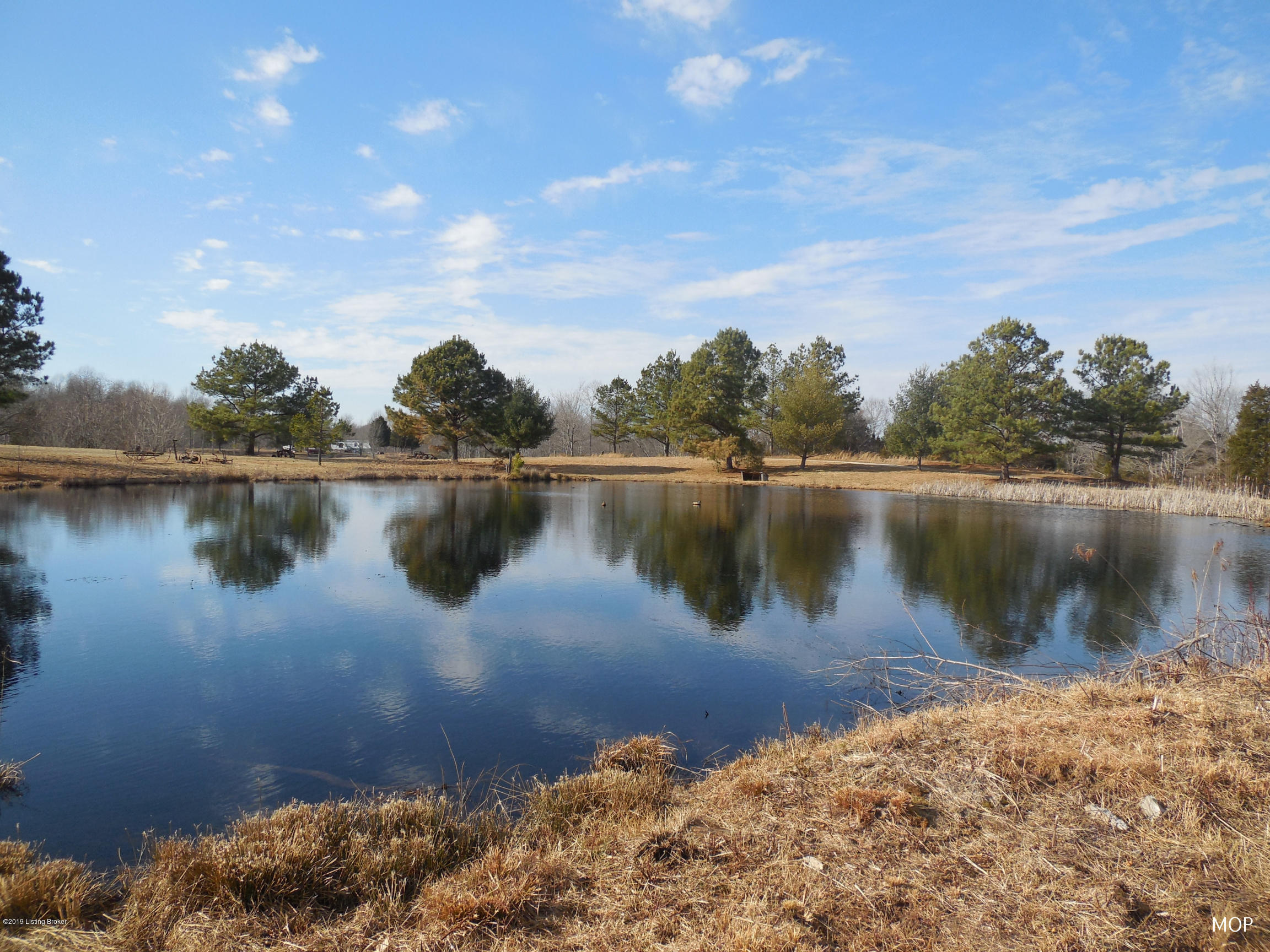 5498 Reese Hurt Road Breeding, KY 42715 - Photo 22 of 41 Pond 4