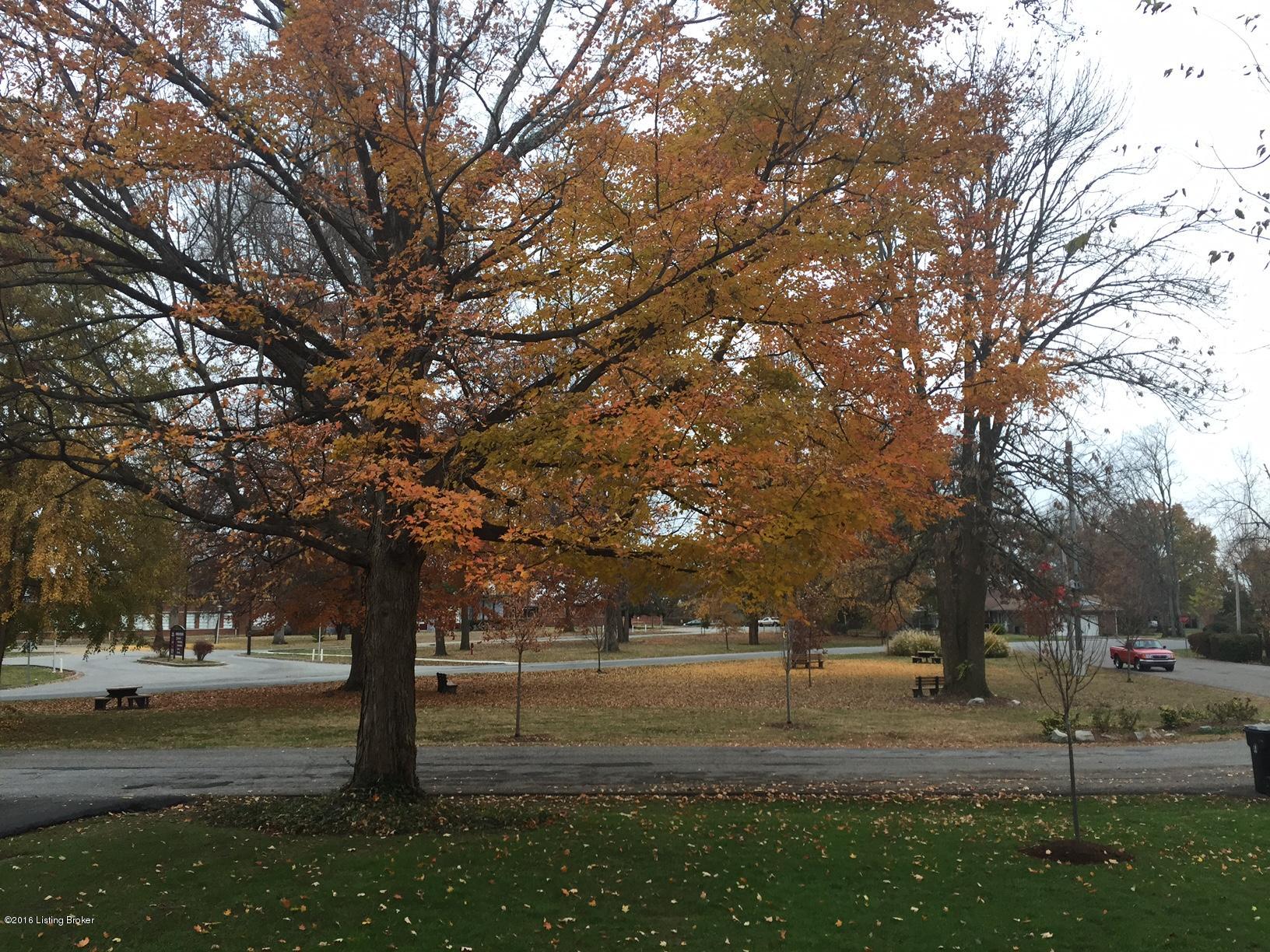 View from front yard