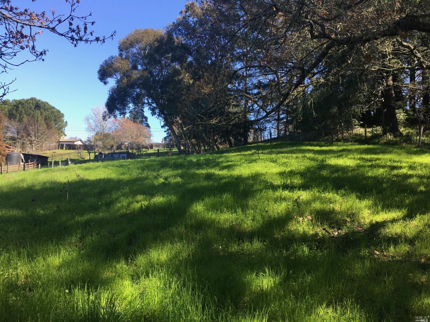 11025 Occidental Road Sebastopol, CA 95472 - Photo 1 of 1 a backyard of a house with lots of green space and fountain