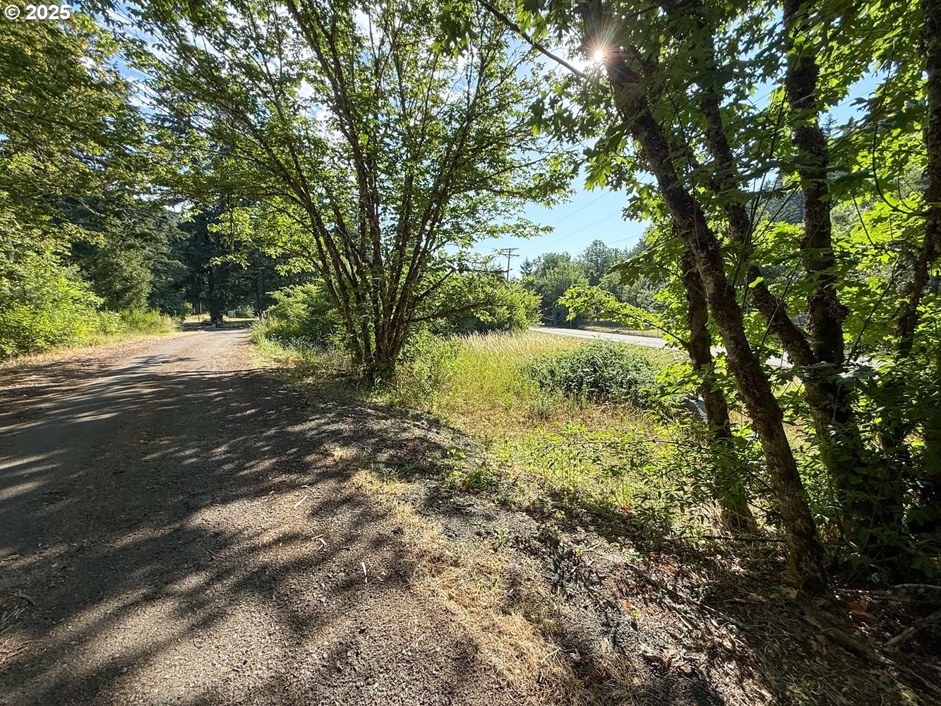 Row River Road Dorena, OR 97434 - Photo 12 of 17