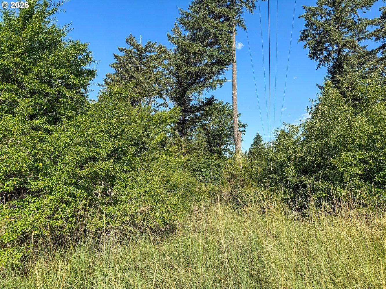 Row River Road Dorena, OR 97434 - Photo 3 of 17