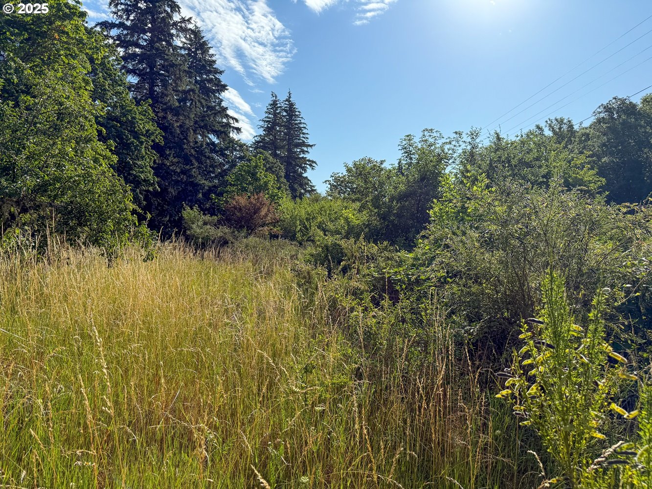 Row River Road Dorena, OR 97434 - Photo 5 of 17