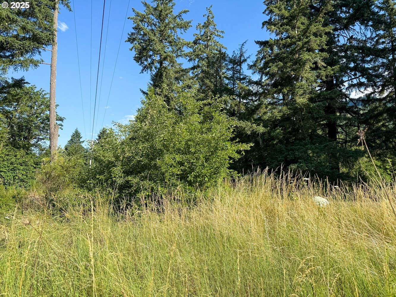 Row River Road Dorena, OR 97434 - Photo 6 of 17