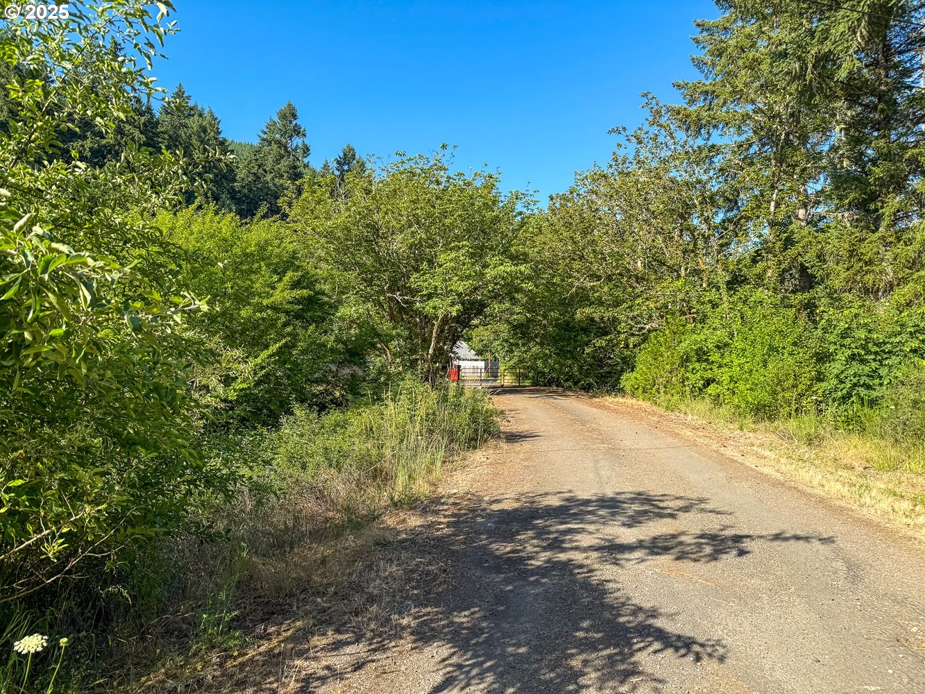 Row River Road Dorena, OR 97434 - Photo 7 of 17