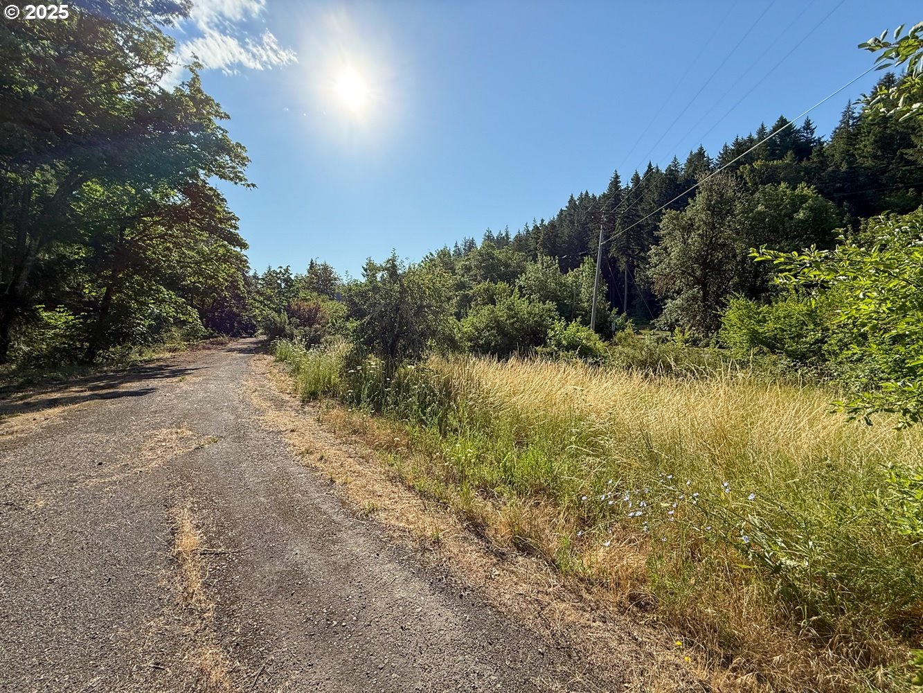 Row River Road Dorena, OR 97434 - Photo 9 of 17