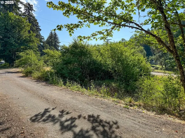 a view of a road with plants and a trees