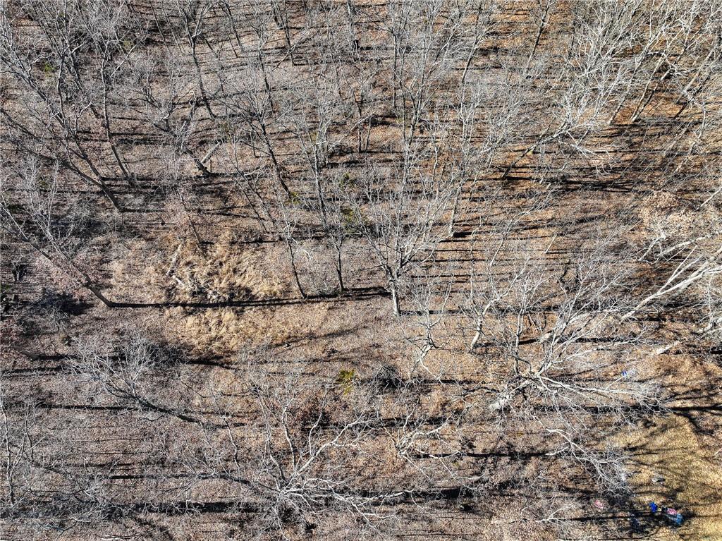 10305 Northeast 1205 Private Road Osceola, MO 64776 - Photo 13 of 47