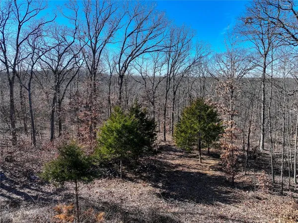 $199,900 | 10305 Northeast 1205 Private Road, Osceola, MO 64776