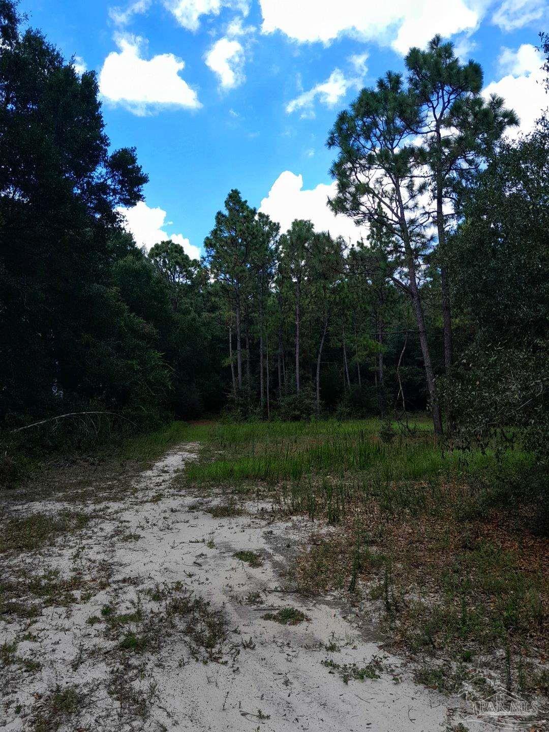 6268 Hamilton Bridge Road Milton, FL 32570 - Photo 1 of 3
