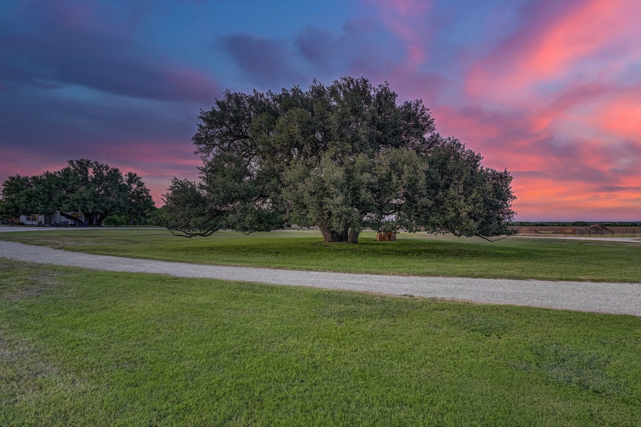 18601 County Road 214 Brookesmith, TX 76827 - Photo 6 of 39 Heritage oaks throughout the property