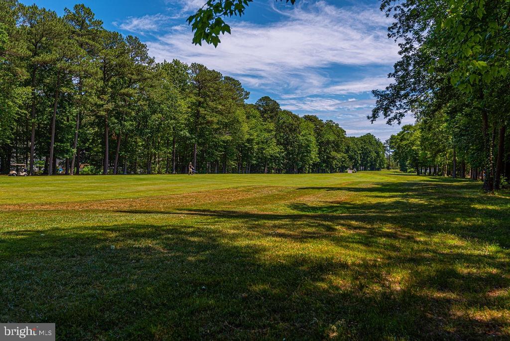 13 Brookside Road Ocean Pines, MD 21811 - Photo 55 of 66