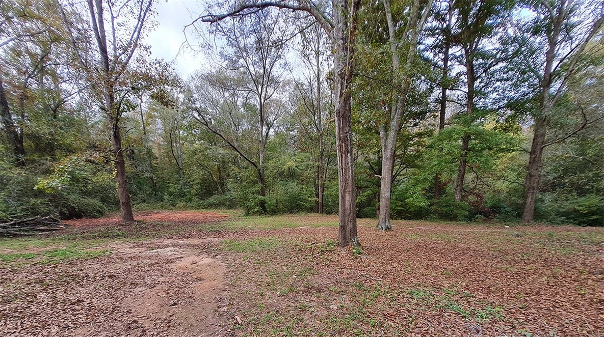 518 Bluefield Road Starr, SC 29684 - Photo 8 of 8