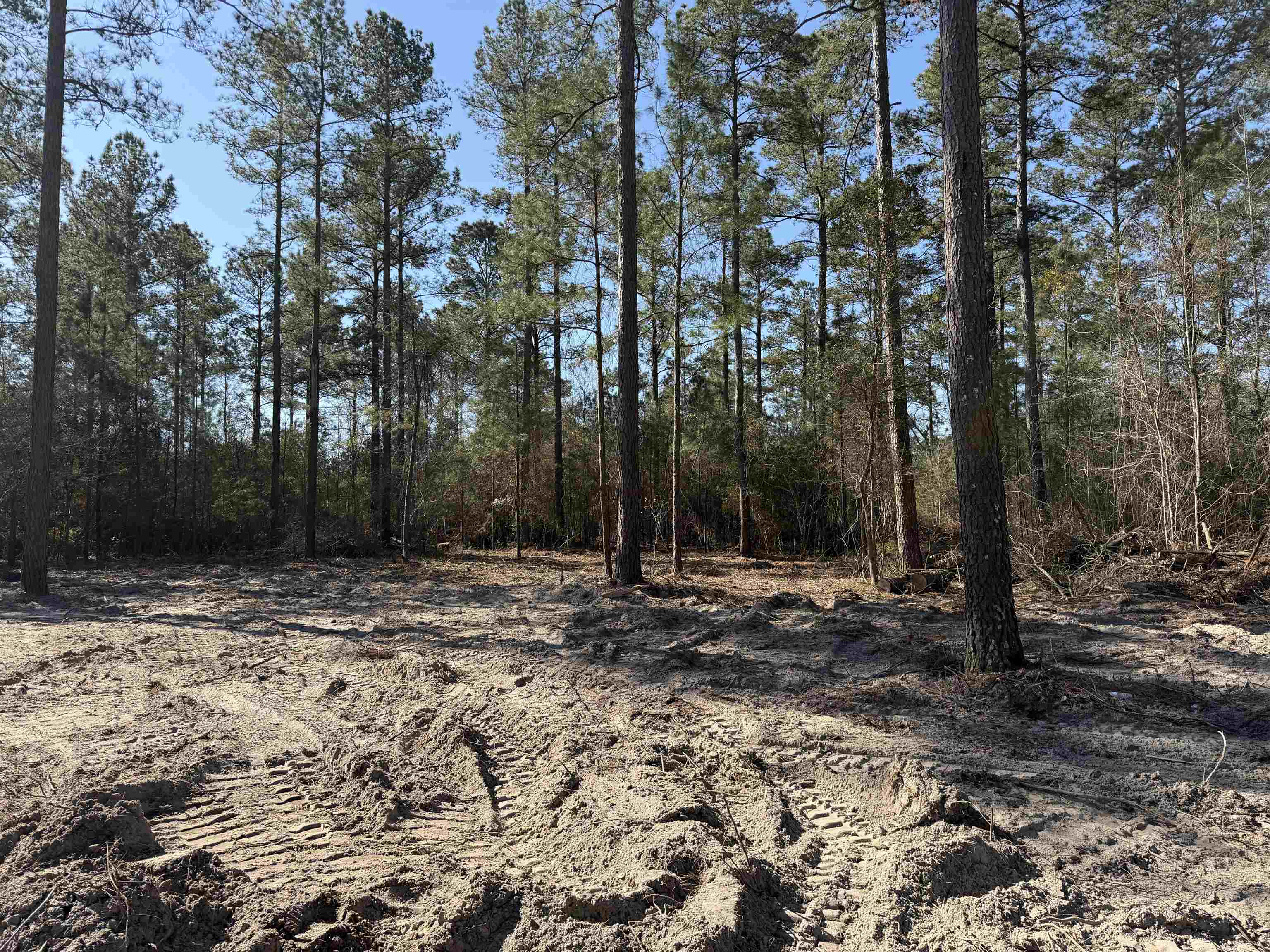 265 Apple Valley Road Loris, SC 29569 - Photo 30 of 32