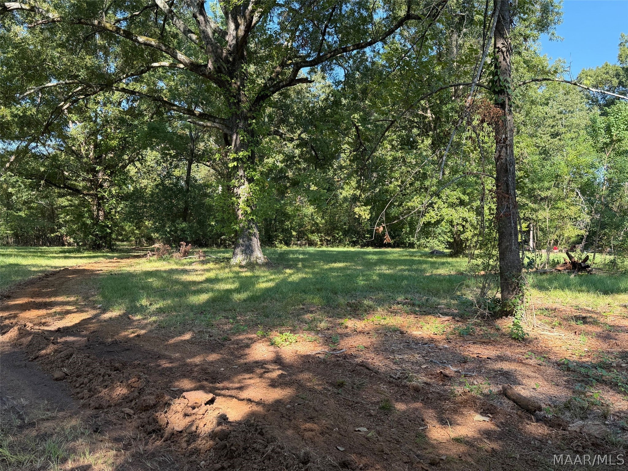 0 Wallahatchie Road Pike Road, AL 36064 - Photo 9 of 22 Gallery Image 9