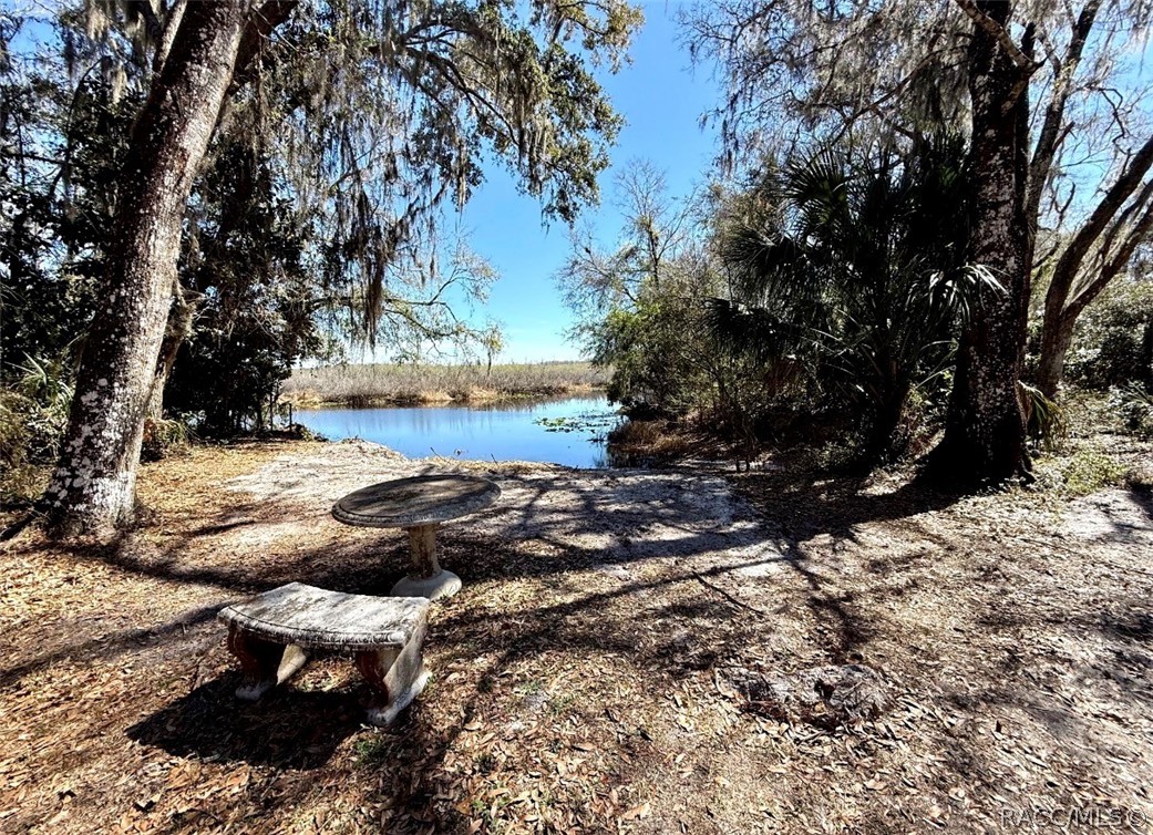 4185 South Spaniel Trail Inverness, FL 34450 - Photo 2 of 27
