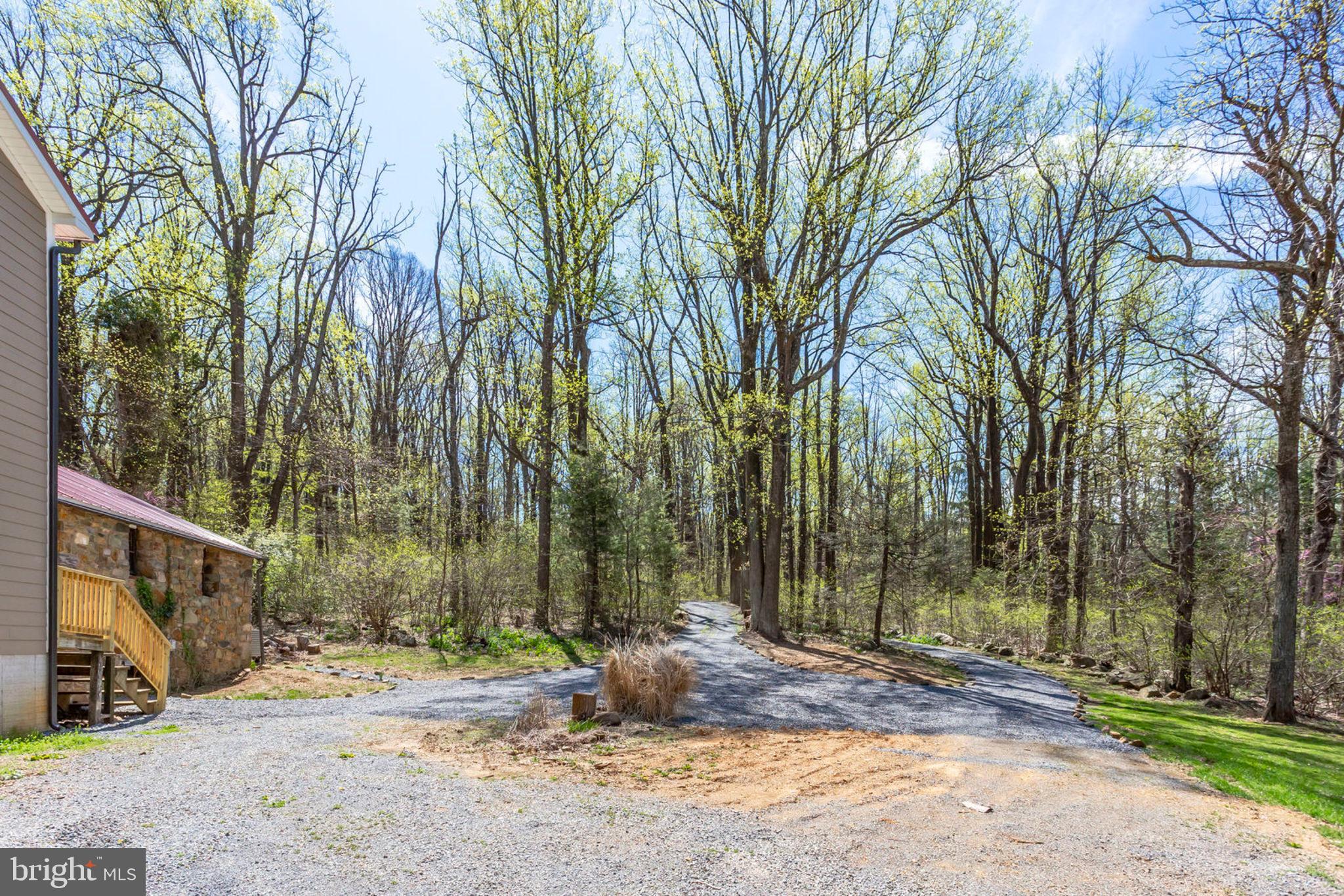 19055 Blue Ridge Mountain Road Bluemont, VA 20135 - Photo 12 of 84