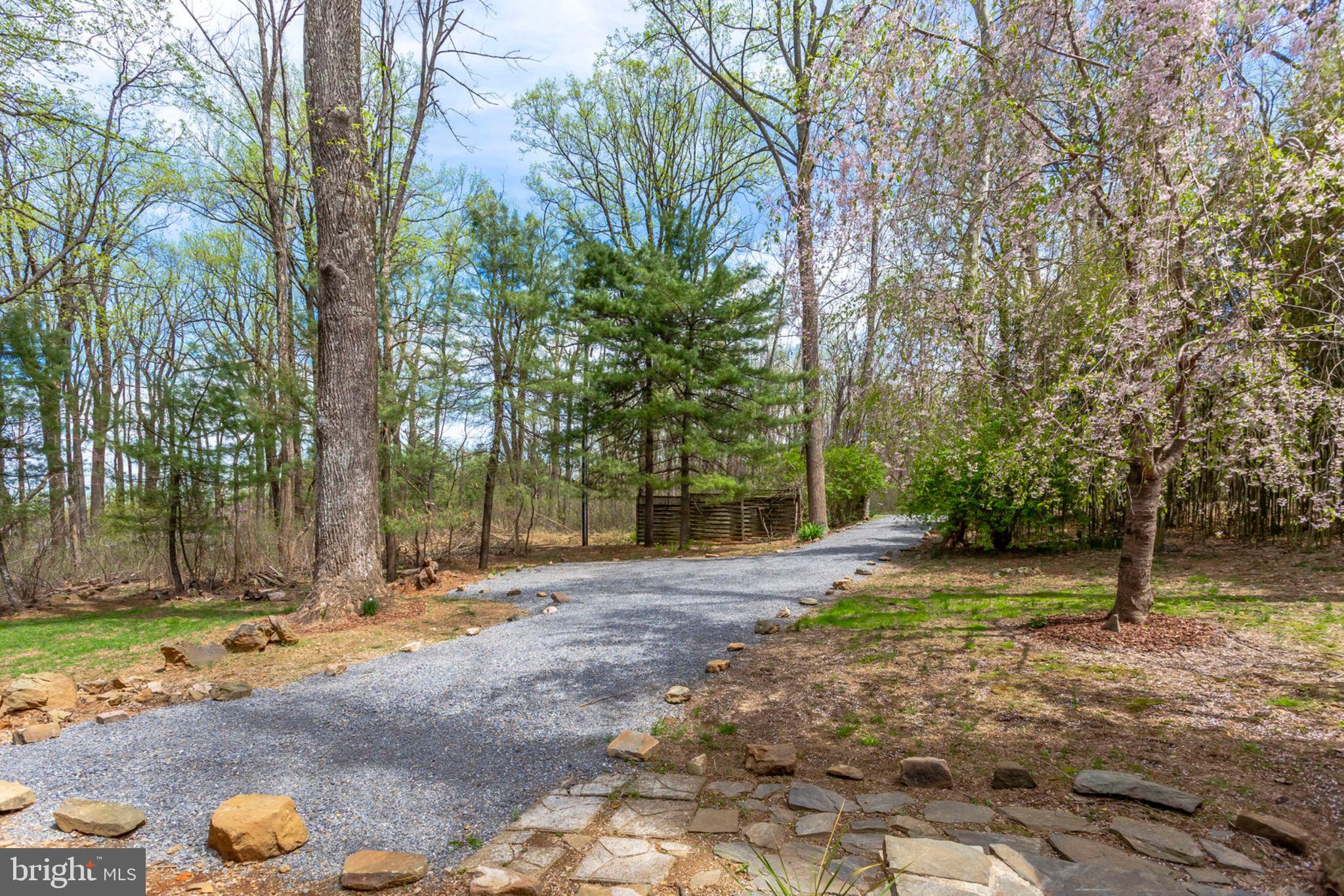 19055 Blue Ridge Mountain Road Bluemont, VA 20135 - Photo 14 of 84