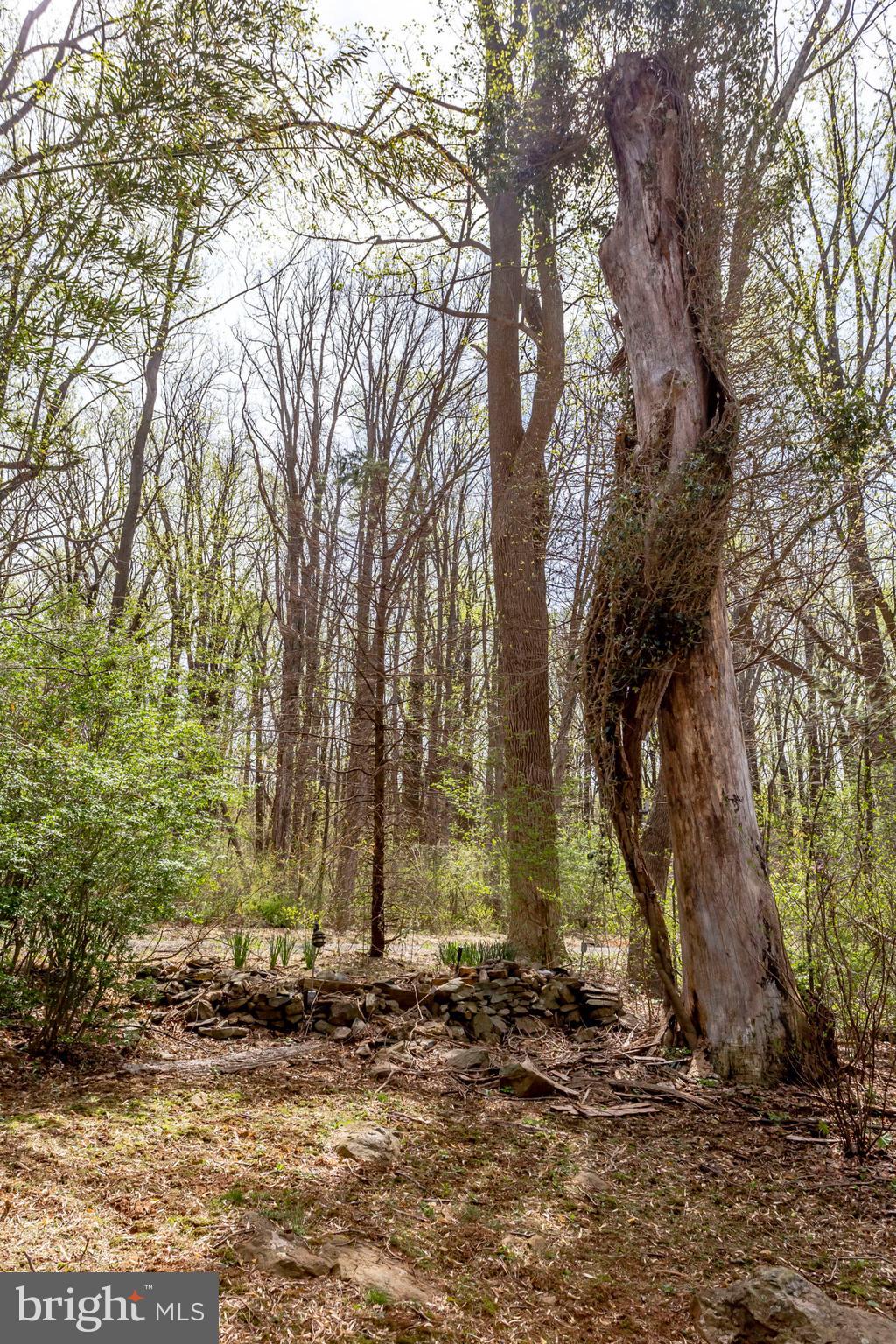 19055 Blue Ridge Mountain Road Bluemont, VA 20135 - Photo 15 of 84