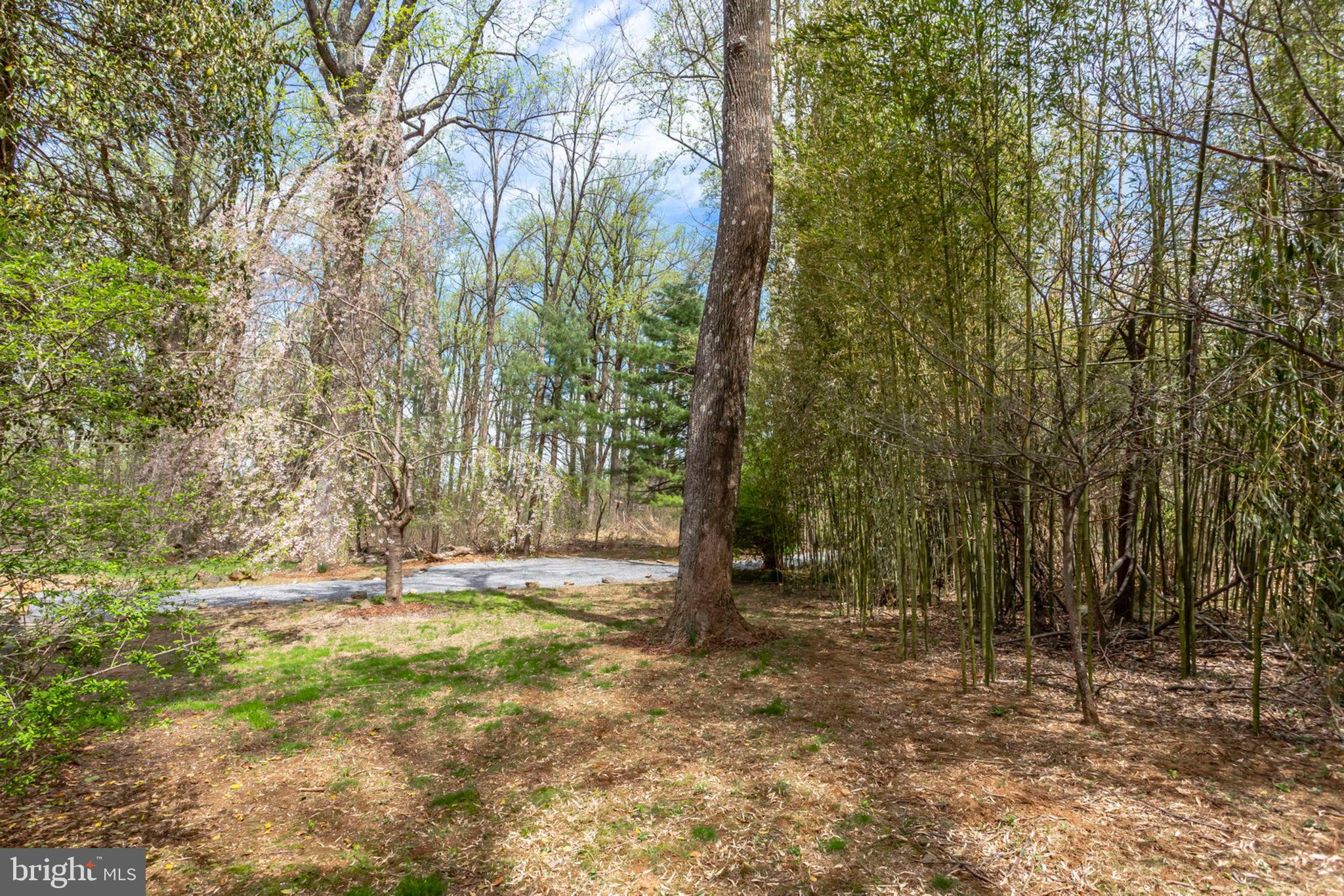 19055 Blue Ridge Mountain Road Bluemont, VA 20135 - Photo 16 of 84