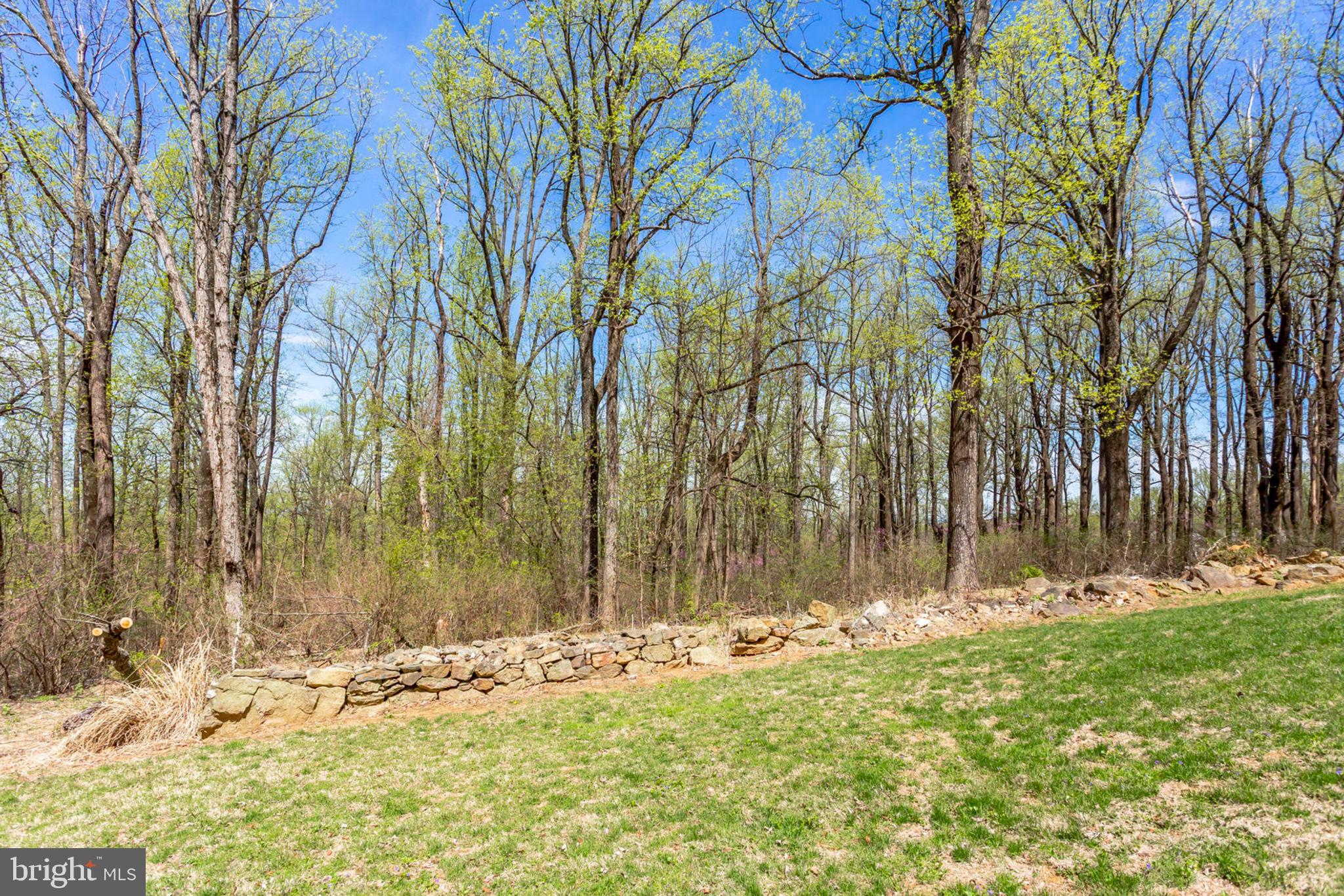 19055 Blue Ridge Mountain Road Bluemont, VA 20135 - Photo 83 of 84