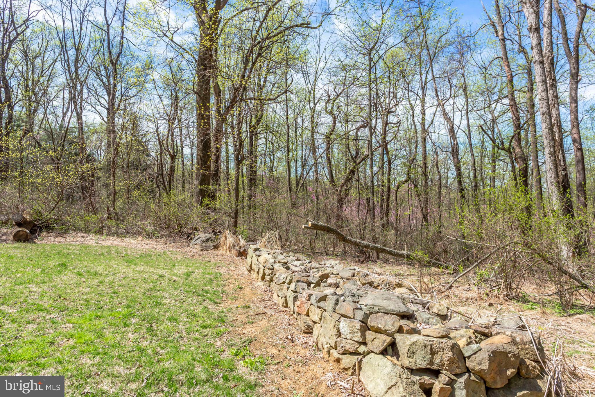 19055 Blue Ridge Mountain Road Bluemont, VA 20135 - Photo 84 of 84