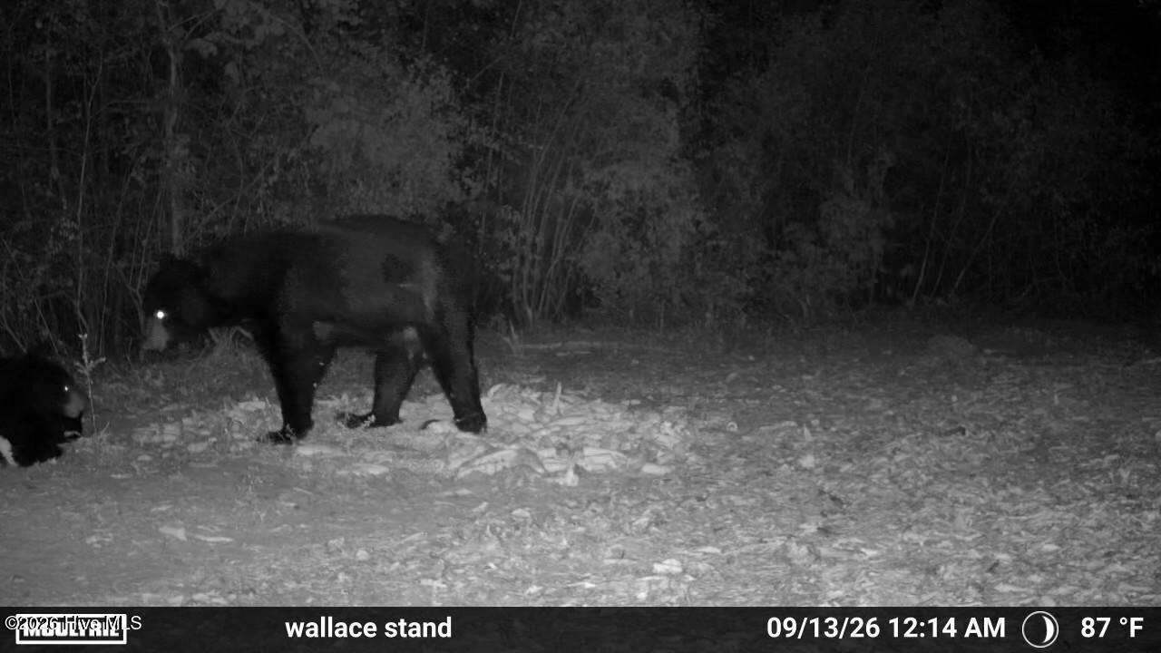 5 Bull Tail Road Wallace, NC 28466 - Photo 20 of 21 Gallery Image 20