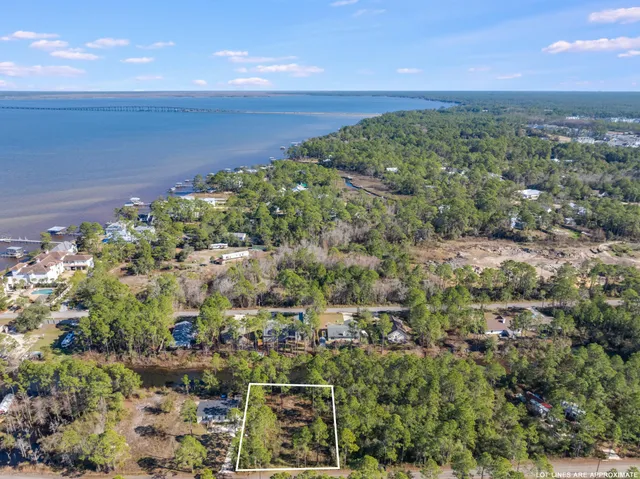 a view of backyard and tree