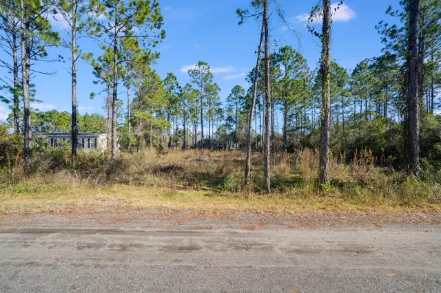 a view of road with trees