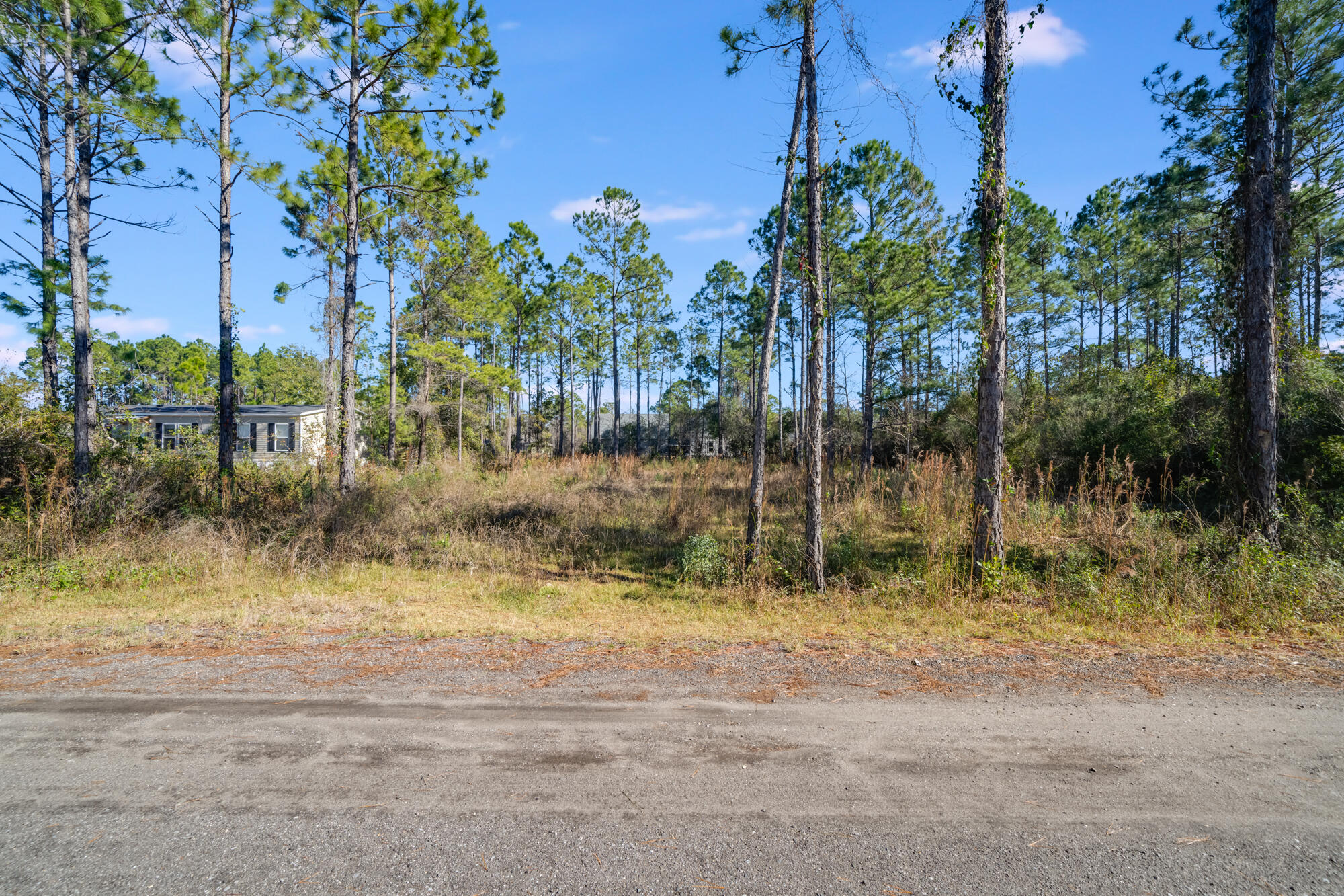 Lot 25 Rendezvous Drive Santa Rosa Beach, FL 32459 - Photo 14 of 21 a view of backyard and tree