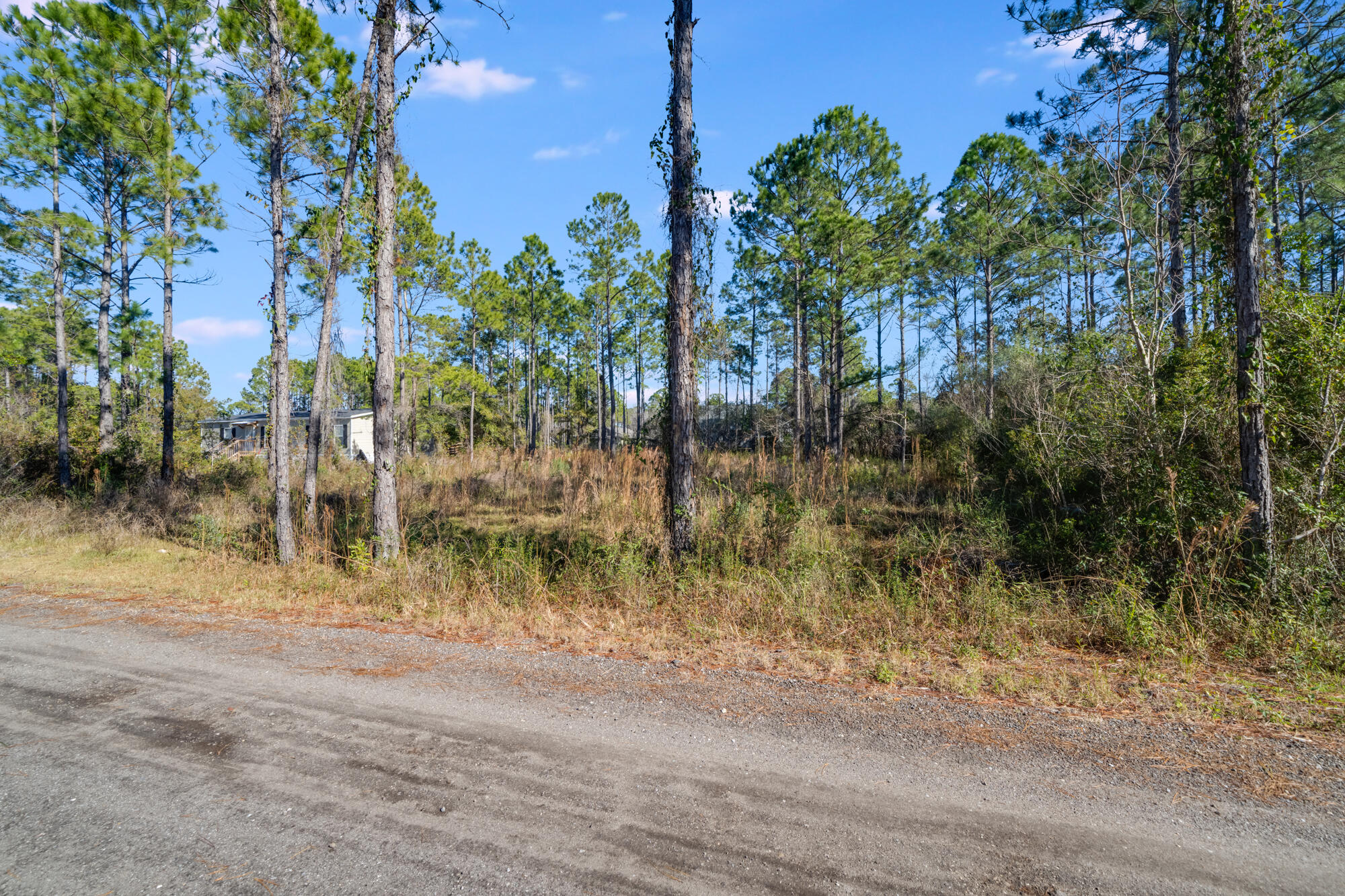 Lot 25 Rendezvous Drive Santa Rosa Beach, FL 32459 - Photo 15 of 21 a backyard of a house with lots of green space