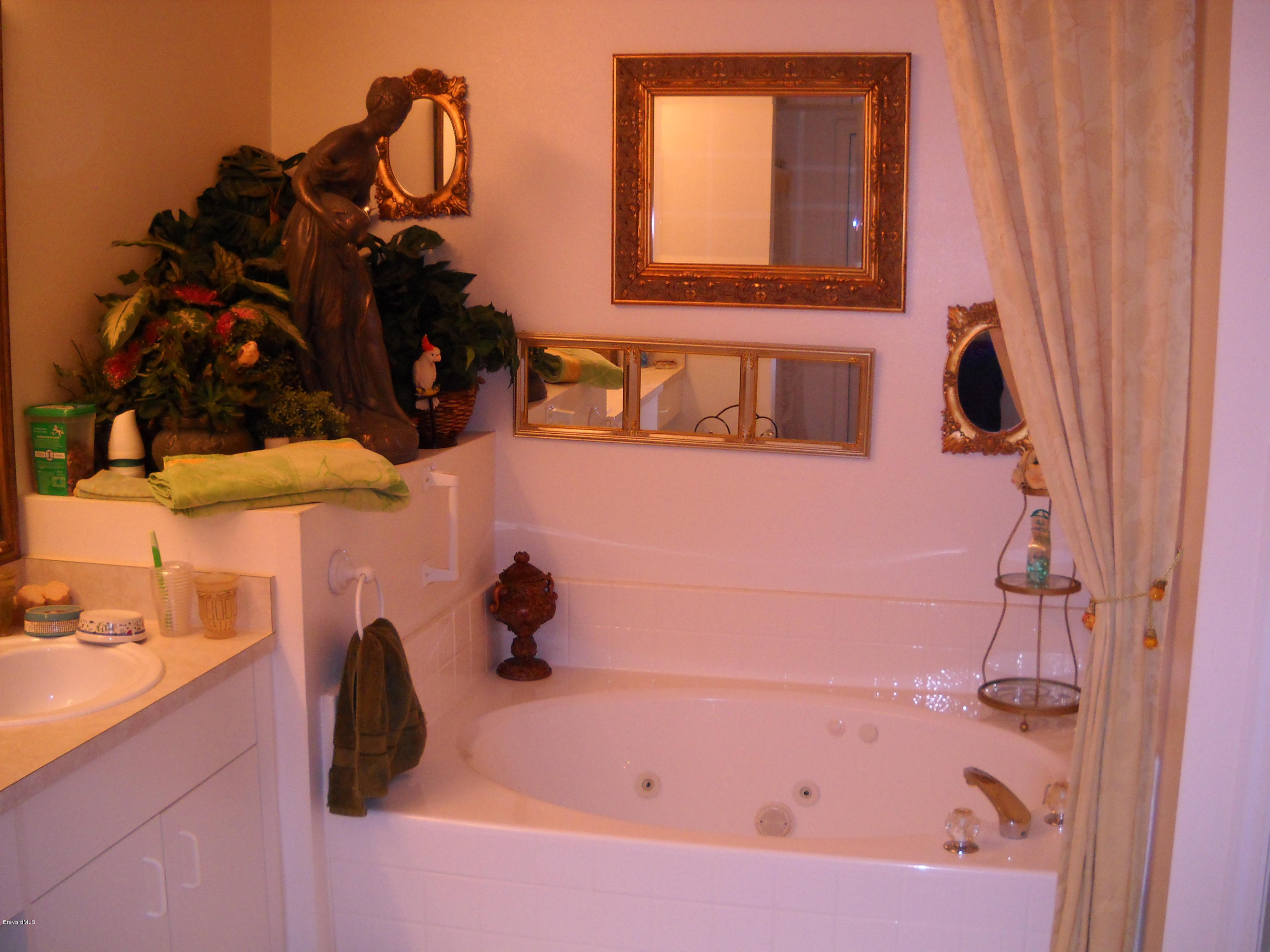 731 Schuster Road Southwest Palm Bay, FL 32908 - Photo 11 of 14 Master jetted tub