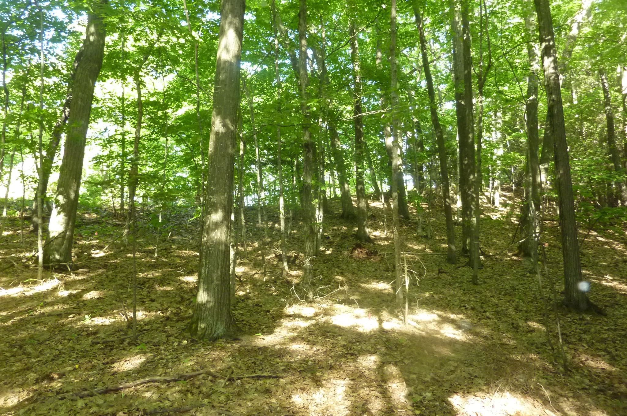 Oo Point Betsie Road Frankfort, MI 49635 - Photo 7 of 13