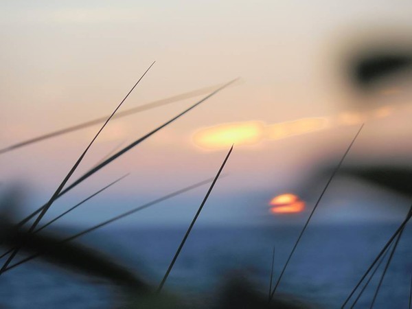 36 Ide-Ho Lane Eastham, MA 02642 - Photo 30 of 30 a view of a interior of the room