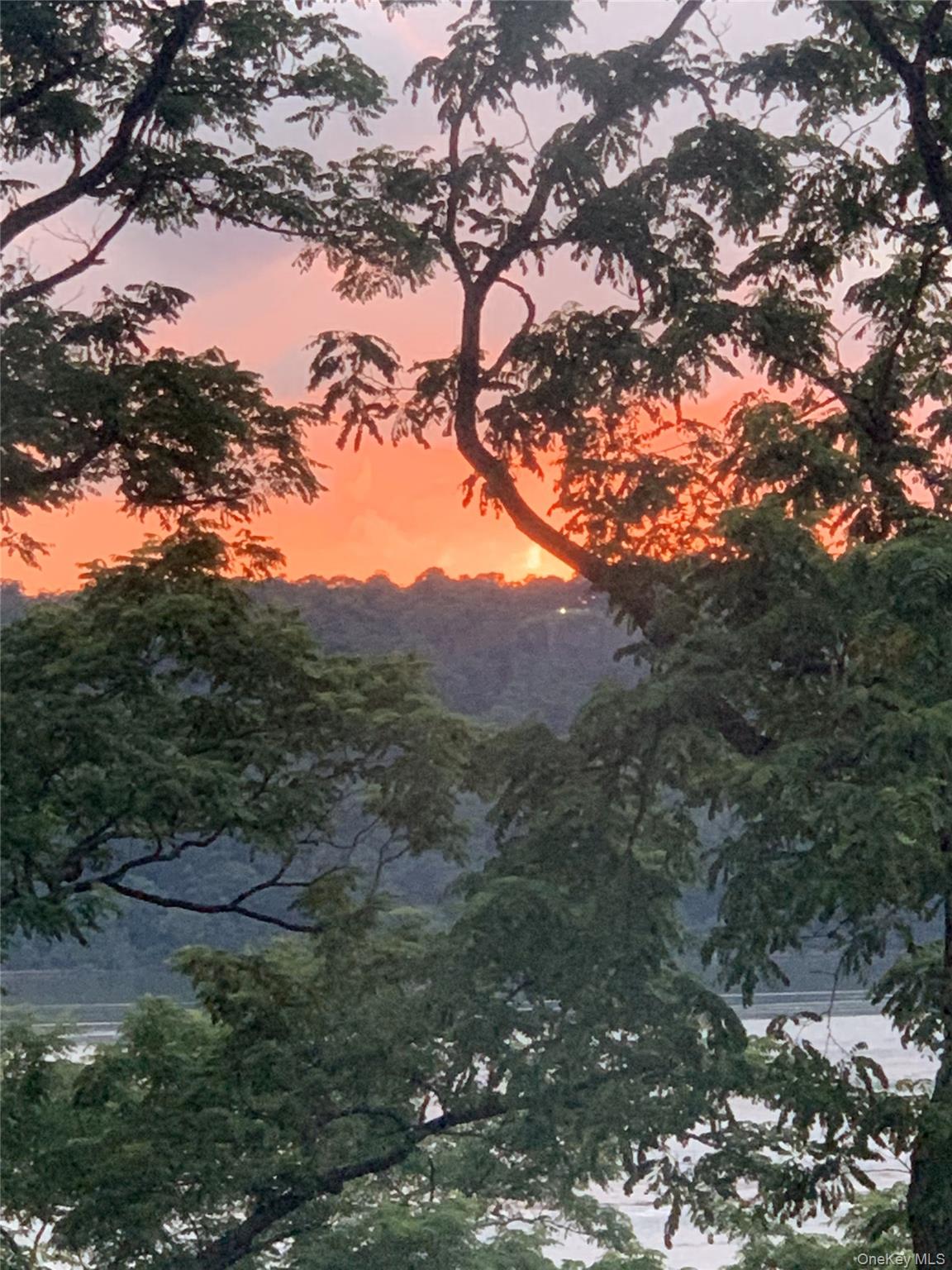 2727 Palisade Avenue, Unit 4H Bronx, NY 10463 - Photo 25 of 26 a view of mountain view with lots of trees