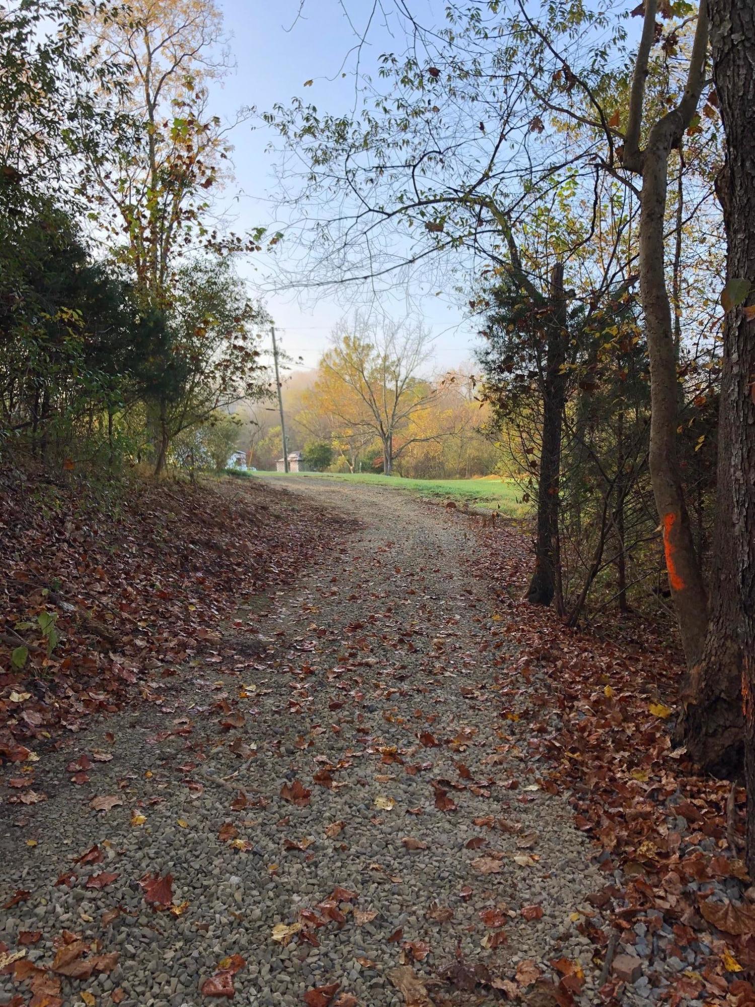 0 Maier Farm Road Buchanan, VA 24066 - Photo 2 of 5 Maier Farm #39