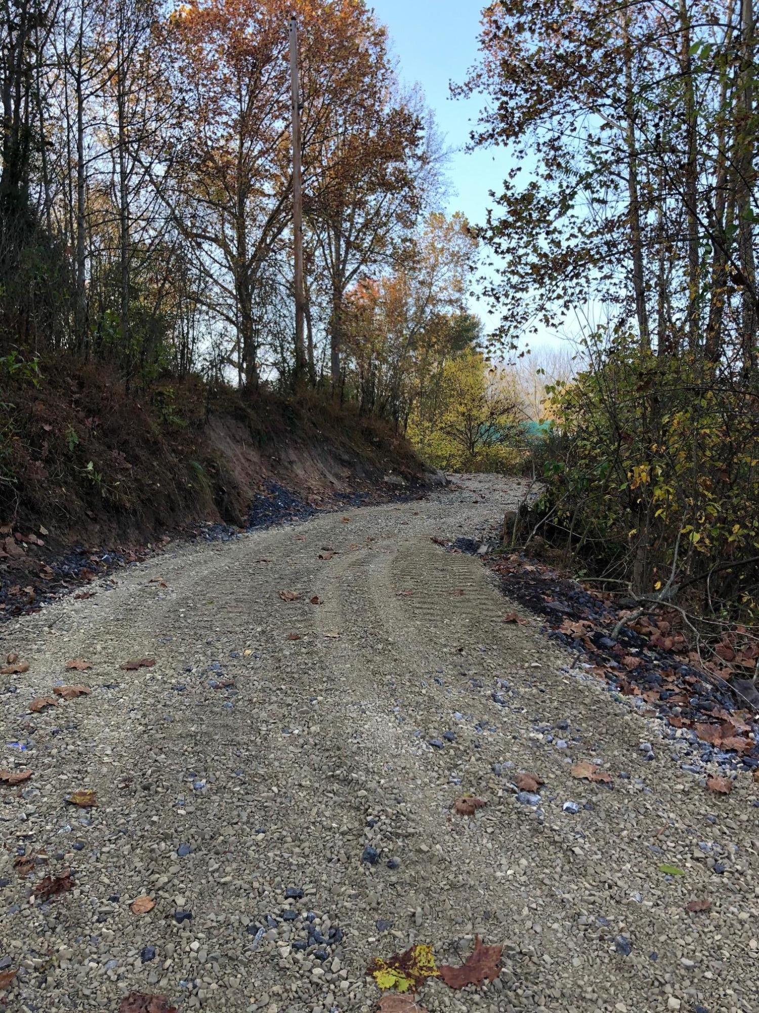 0 Maier Farm Road Buchanan, VA 24066 - Photo 3 of 5 Maier Farm #42