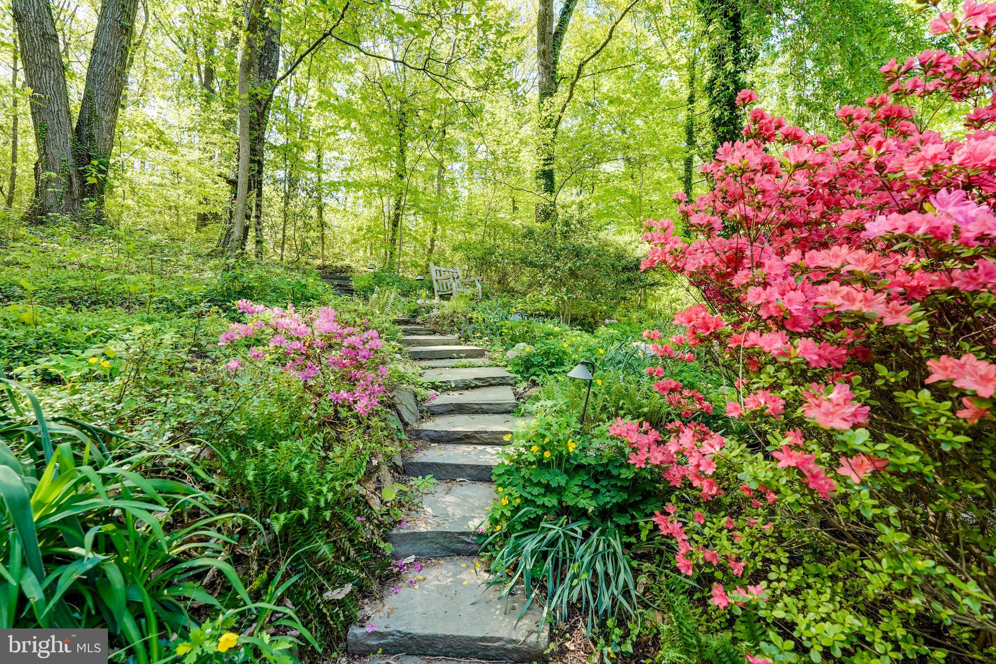 7307 Nevis Road Bethesda, MD 20817 - Photo 37 of 47