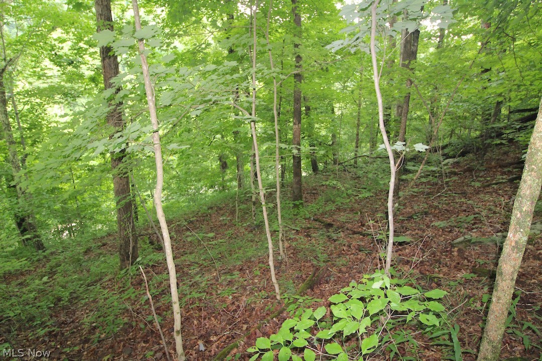 136 Township Road New Matamoras, OH 45767 - Photo 10 of 35 Gallery Image 10