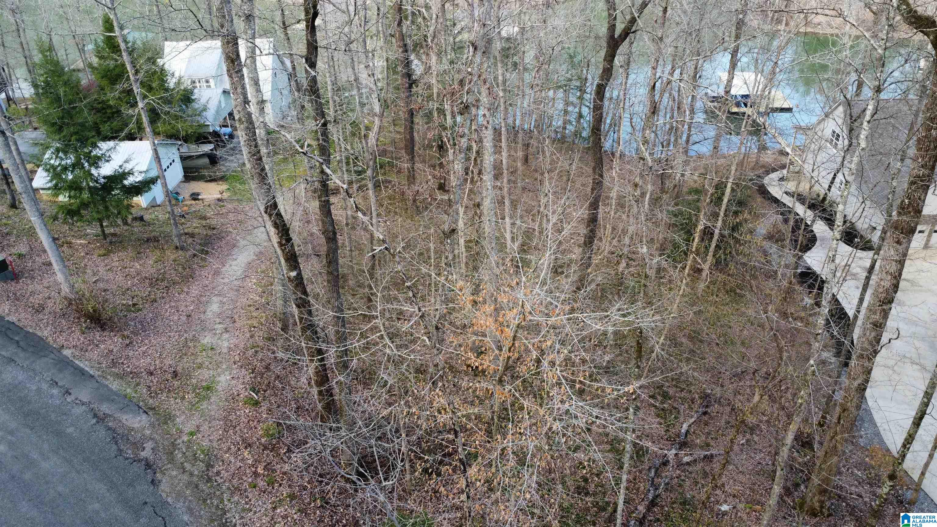 Lot 6 Legends Lane, Unit 6 Arley, AL 35541 - Photo 5 of 18