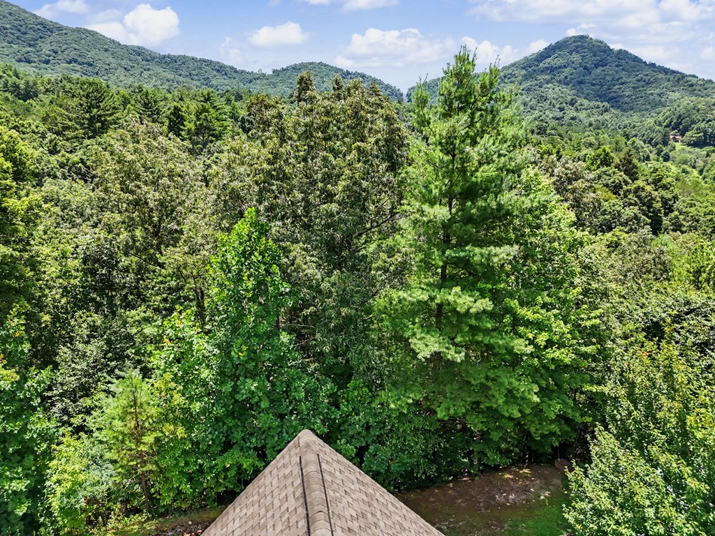 59 Hunter Rock Ridge Marble, NC 28905 - Photo 34 of 55