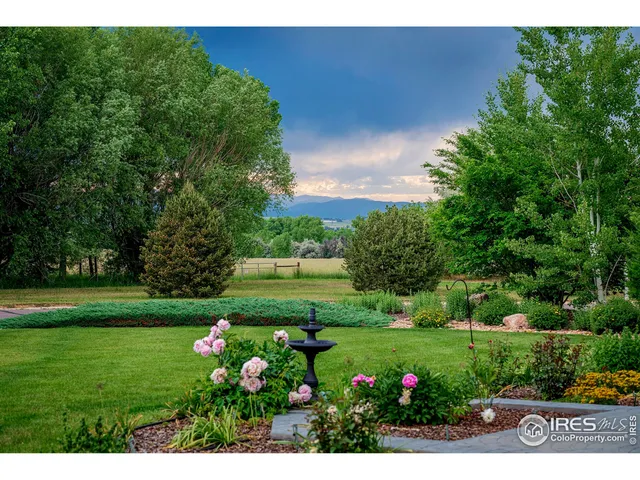 a view of a park with large trees