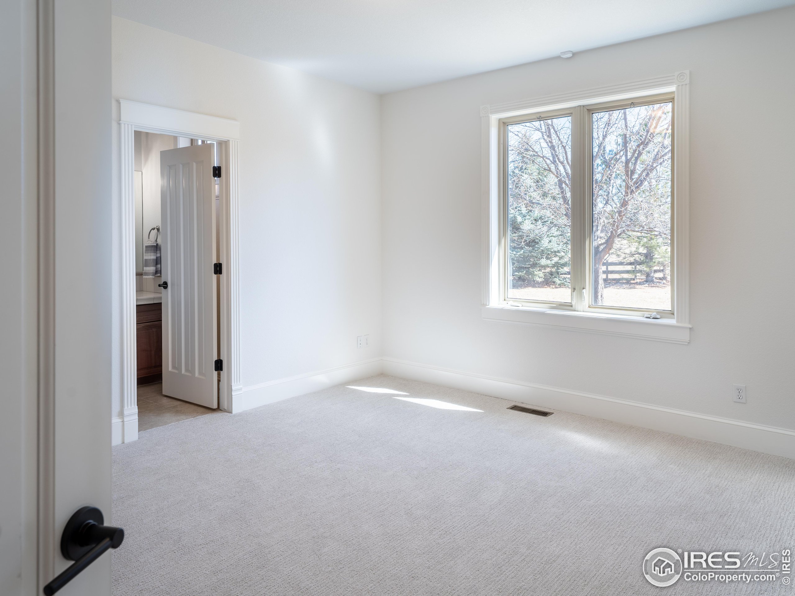 385 Baxter Farm Lane Erie, CO 80516 - Photo 27 of 40 an empty room with windows and closet