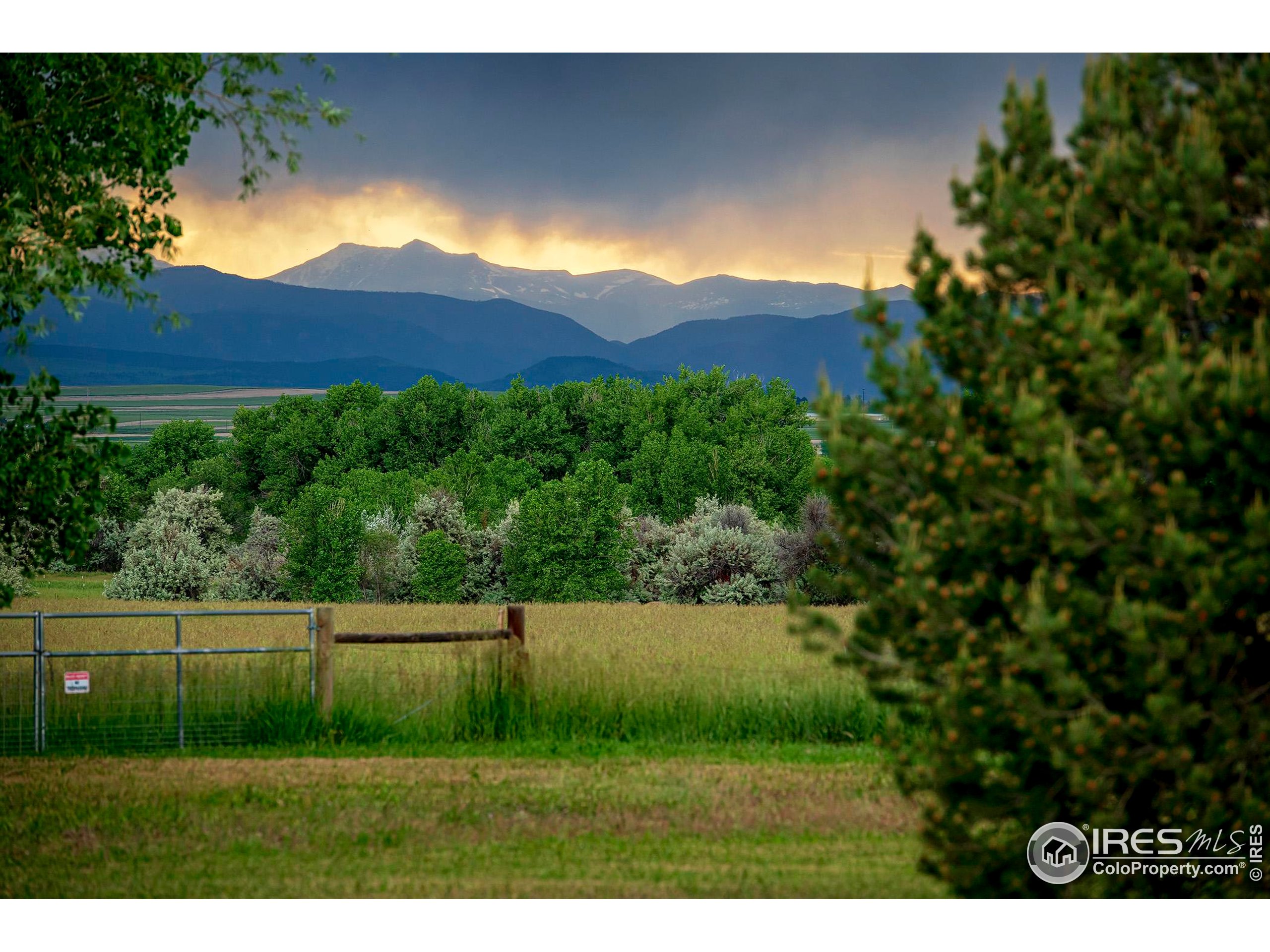 385 Baxter Farm Lane Erie, CO 80516 - Photo 3 of 40 a view of a back yard