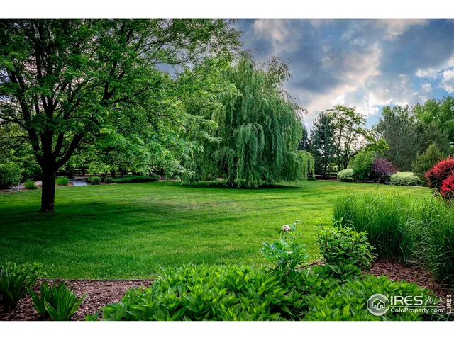 a view of yard with green space