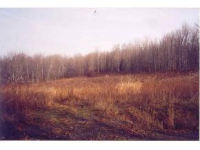 111 Letter S Hill Road Berkshire, NY 13736 - Photo 1 of 2